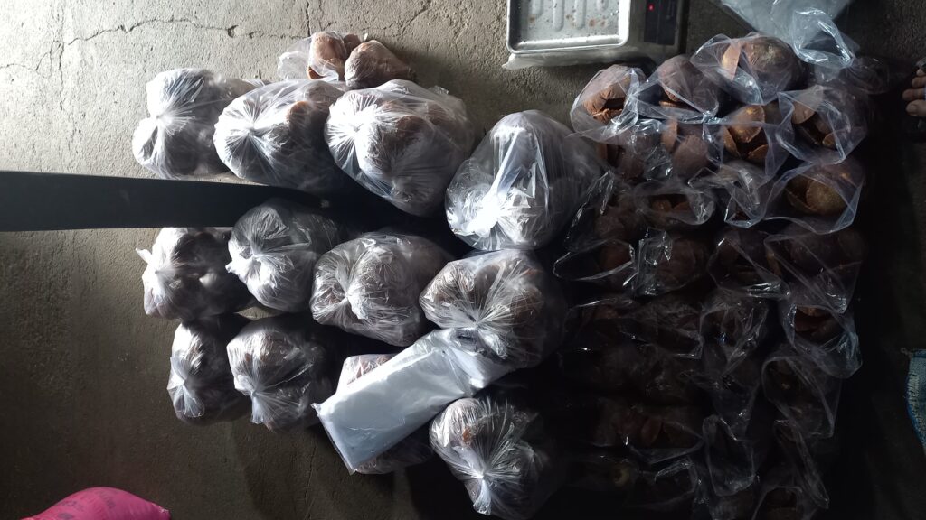Nira Kelapa Widoro untuk UMKM Desa yang Tangguh